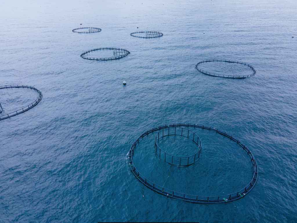 Aquaculture and Fish Farming