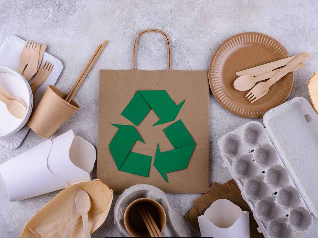 Eco-Friendly Packaging Business