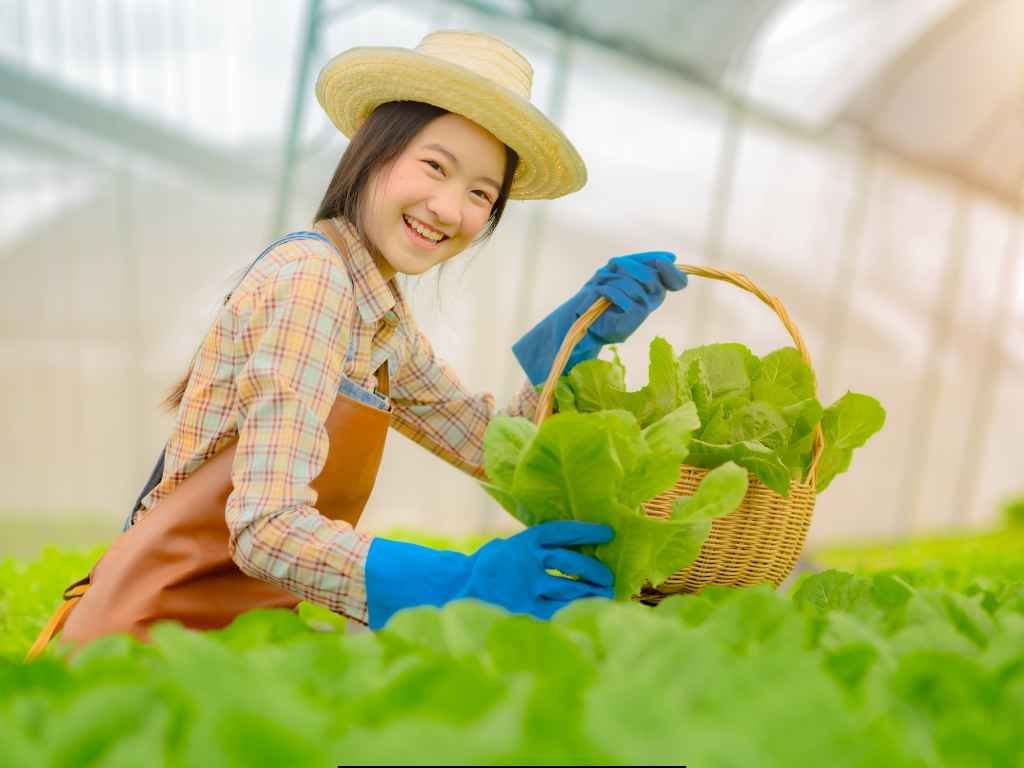 Organic Farming and Retail